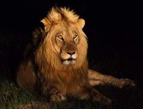  &copy; South African Tourism